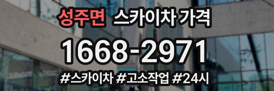 성주면 스카이차 가격