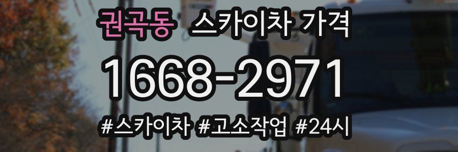 권곡동 스카이차 가격