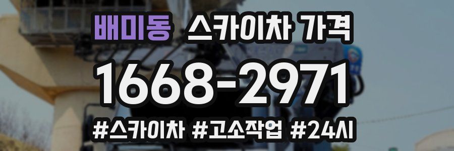 배미동 스카이차 가격