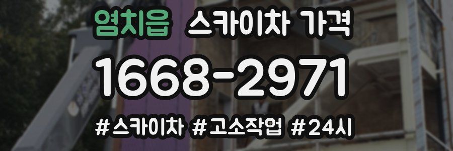 염치읍 스카이차 가격