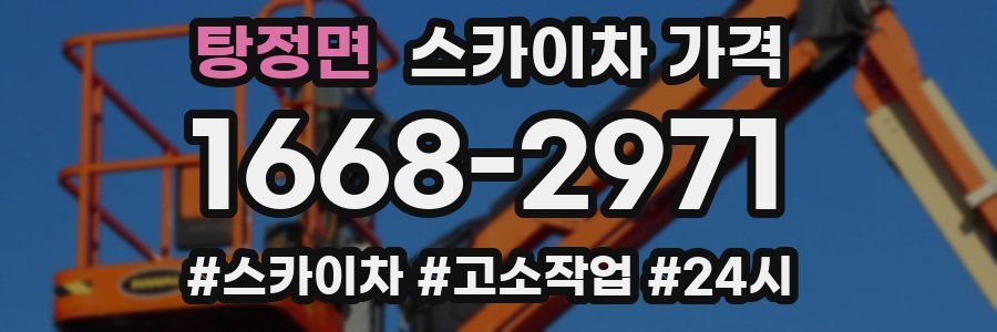 탕정면 스카이차 가격