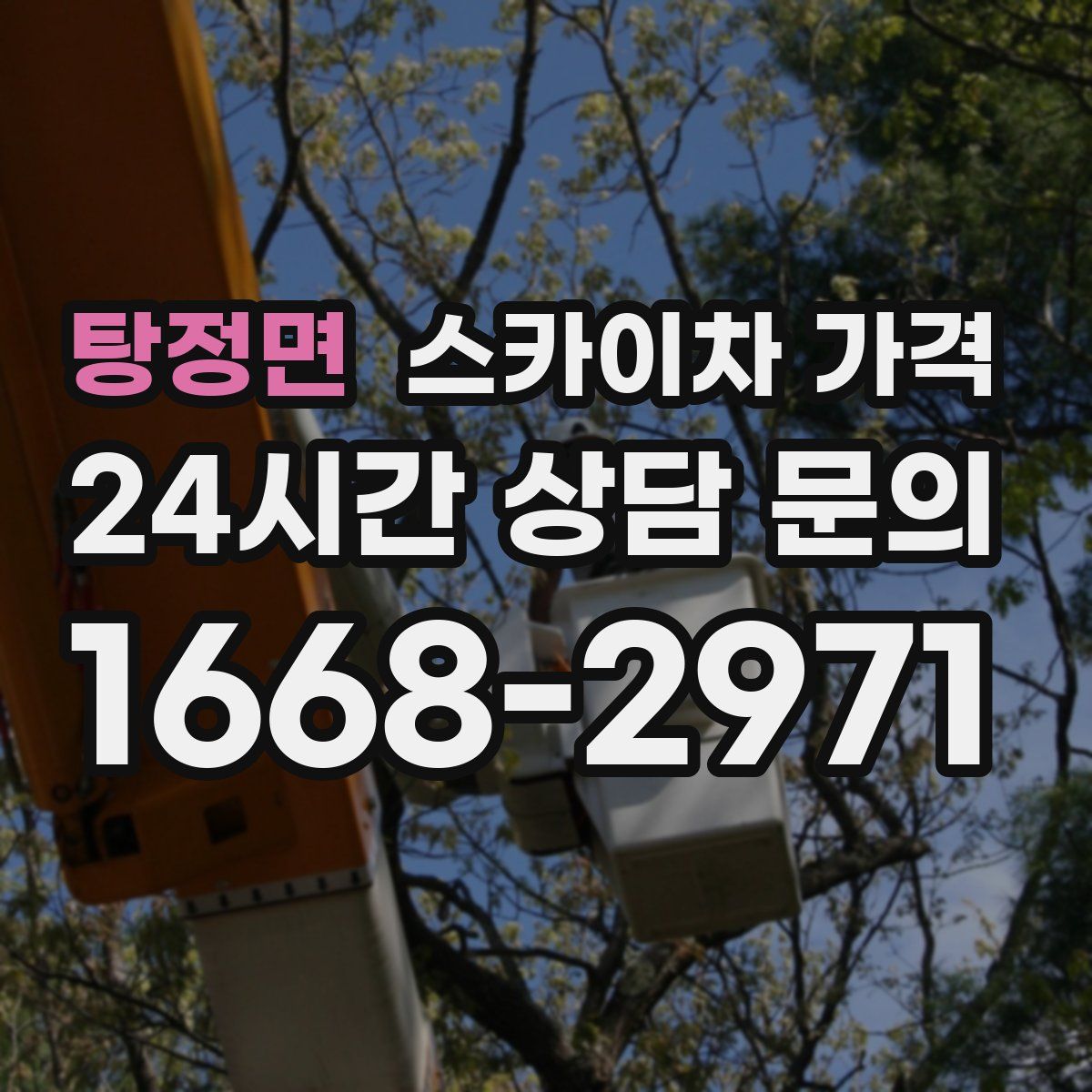 탕정면 스카이차 가격