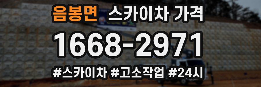 음봉면 스카이차 가격