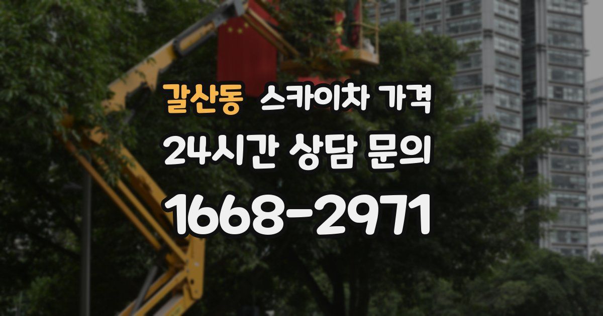 갈산동 스카이차 가격