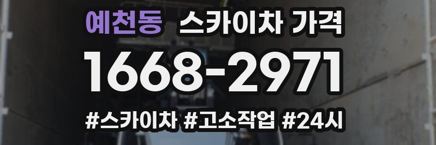 예천동 스카이차 가격