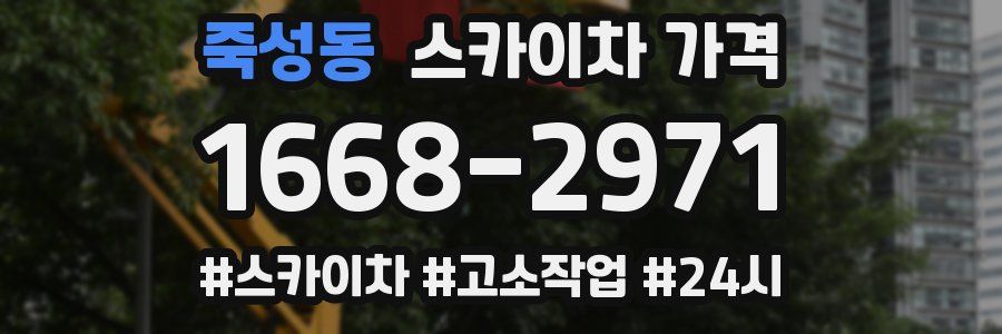 죽성동 스카이차 가격