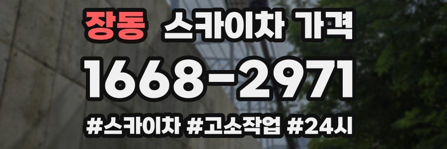 장동 스카이차 가격
