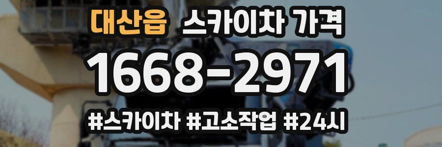 대산읍 스카이차 가격