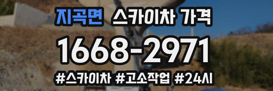 지곡면 스카이차 가격