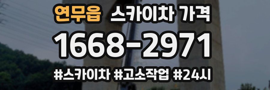 연무읍 스카이차 가격