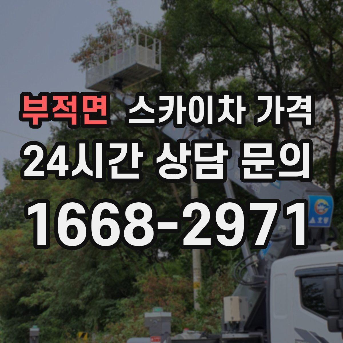 부적면 스카이차 가격