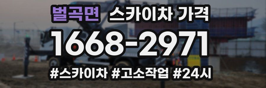 벌곡면 스카이차 가격