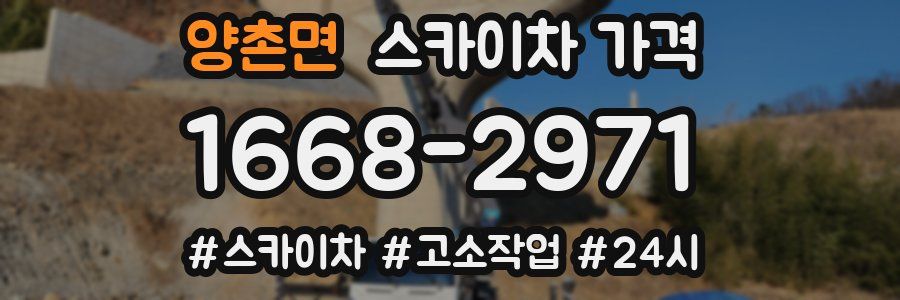 양촌면 스카이차 가격