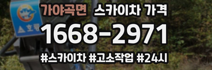 가야곡면 스카이차 가격