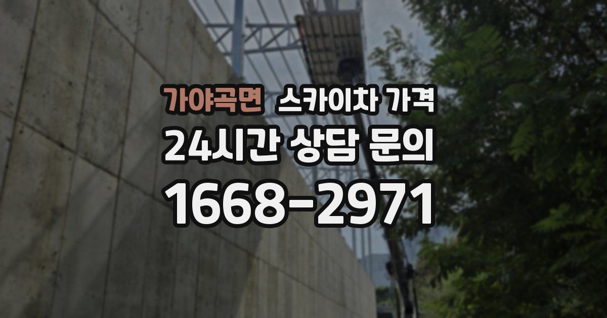 가야곡면 스카이차 가격