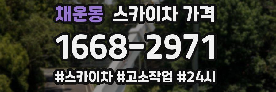 채운동 스카이차 가격