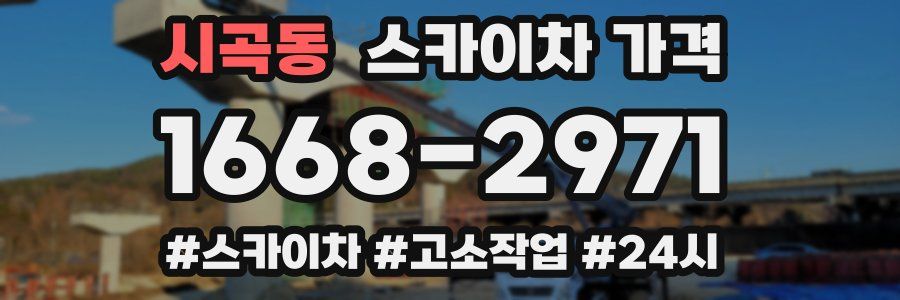 시곡동 스카이차 가격