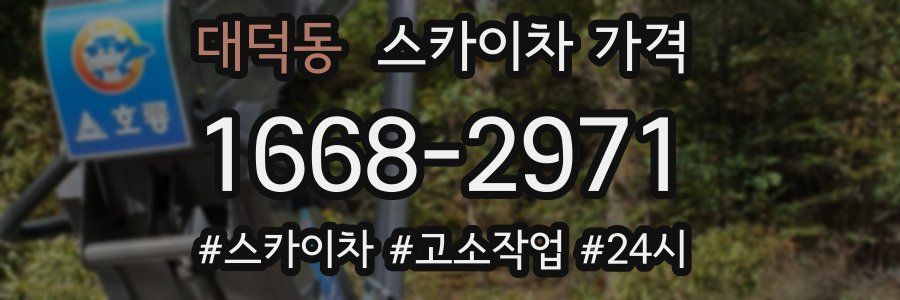 대덕동 스카이차 가격