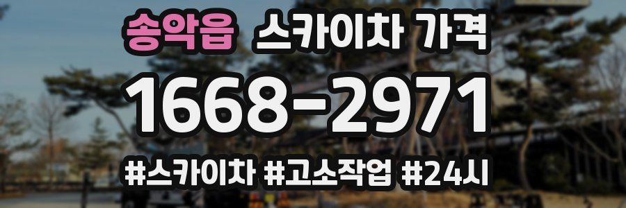 송악읍 스카이차 가격