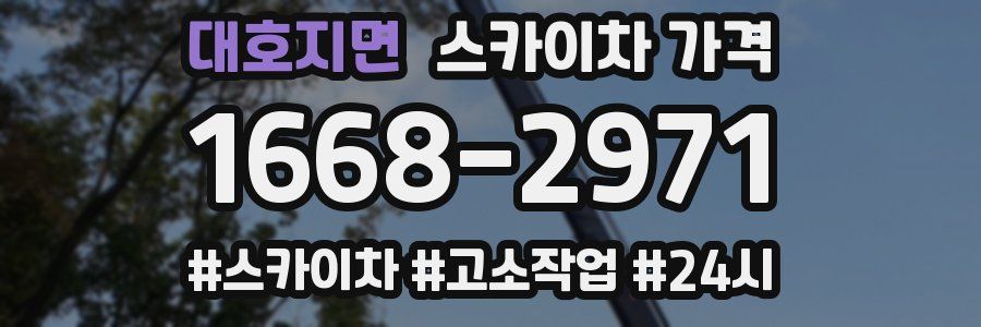 대호지면 스카이차 가격