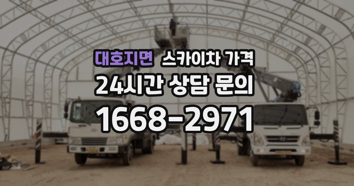 대호지면 스카이차 가격