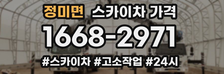 정미면 스카이차 가격