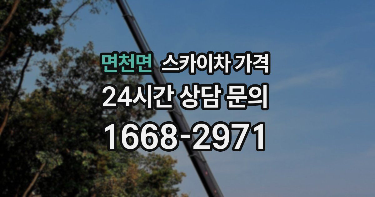 면천면 스카이차 가격