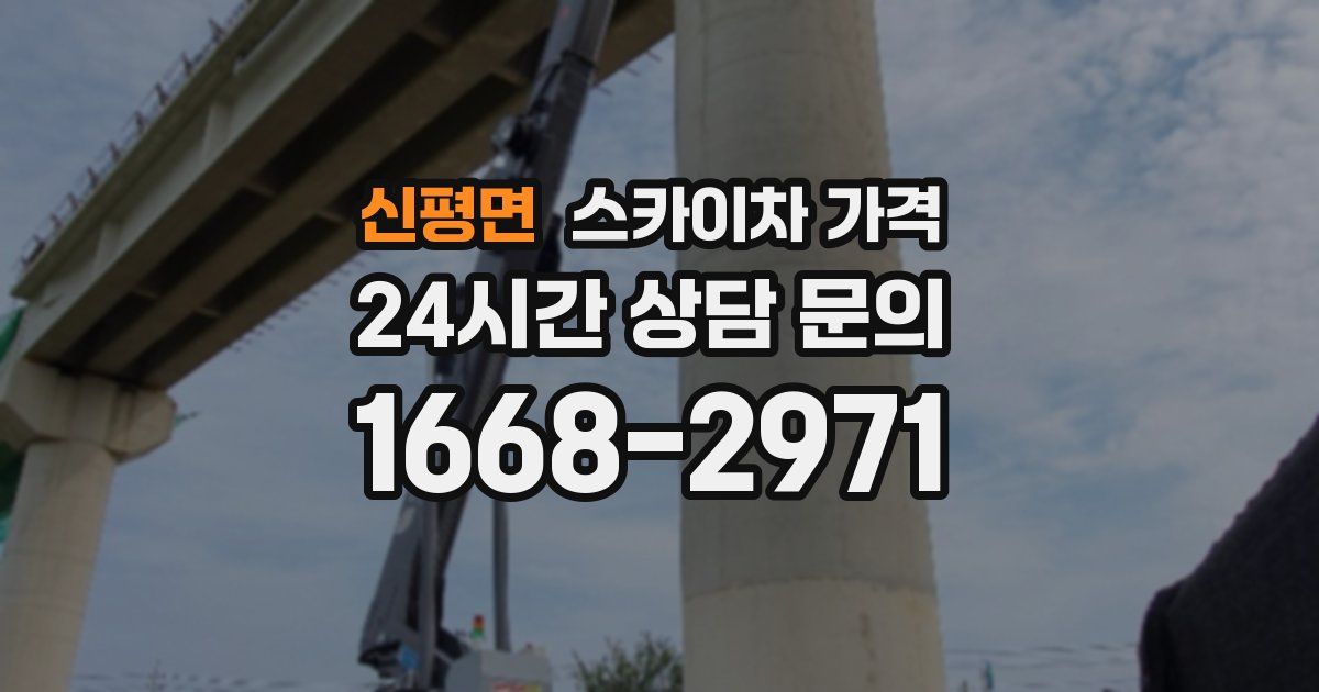 신평면 스카이차 가격
