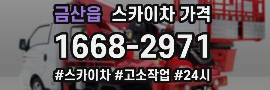 금산읍 스카이차 가격