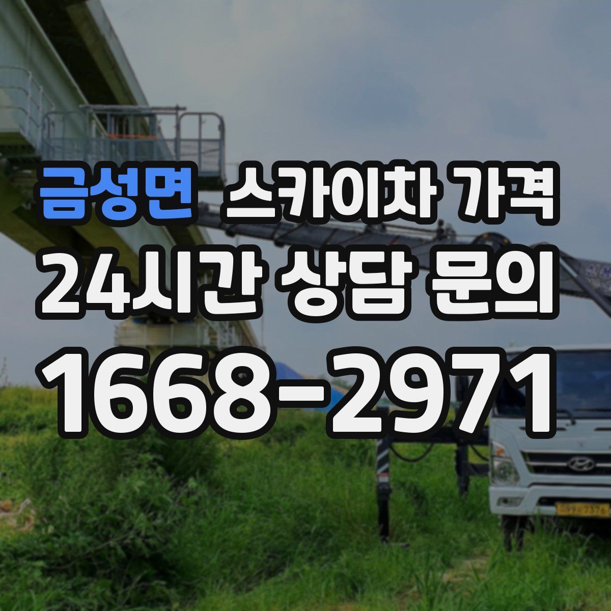 금성면 스카이차 가격