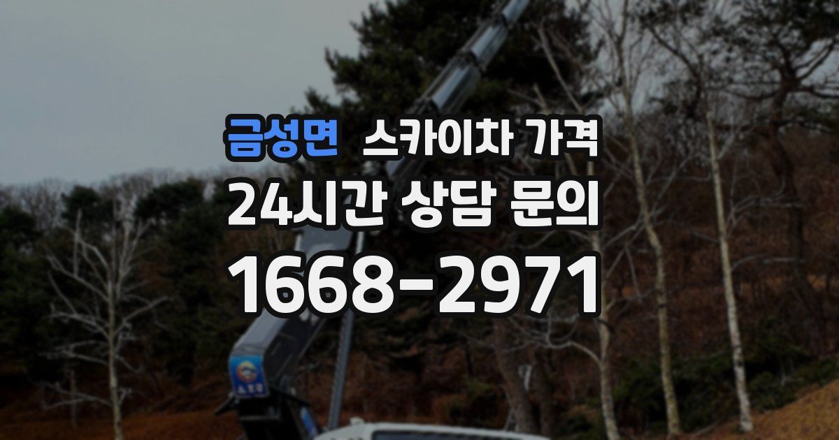 금성면 스카이차 가격