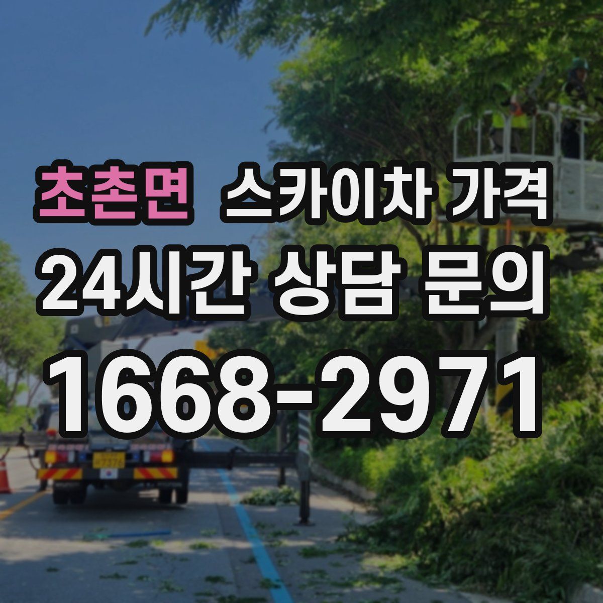 초촌면 스카이차 가격