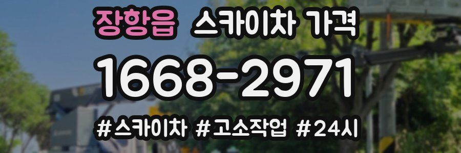 장항읍 스카이차 가격