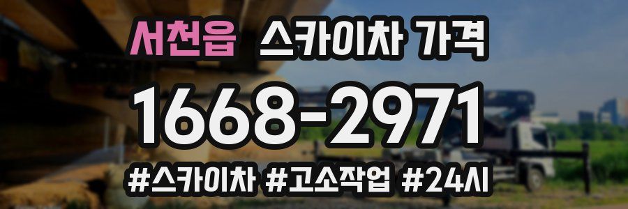 서천읍 스카이차 가격