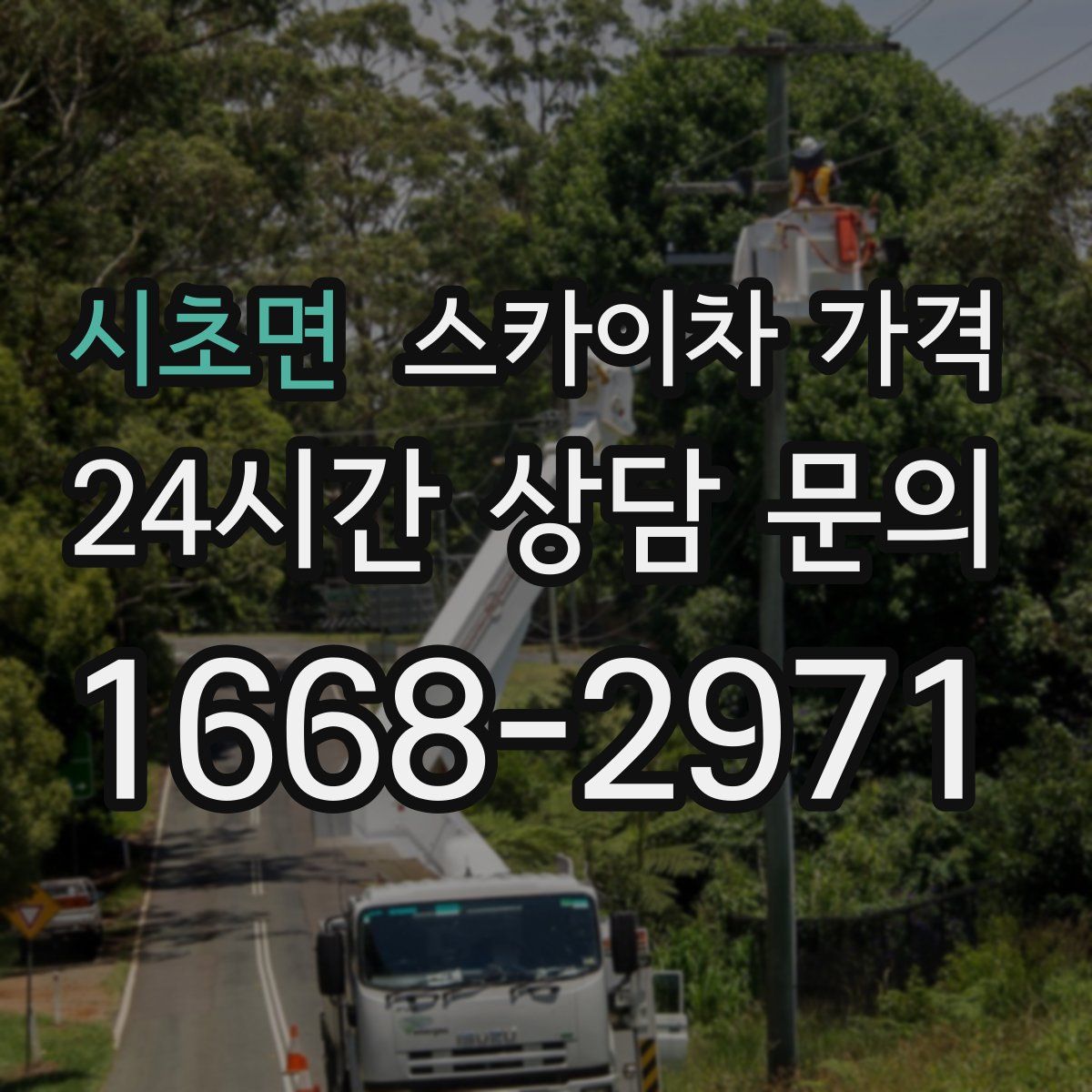 시초면 스카이차 가격