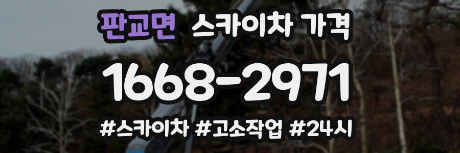 판교면 스카이차 가격