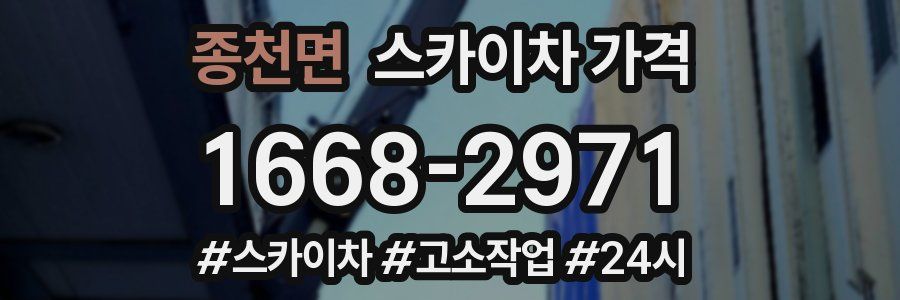 종천면 스카이차 가격