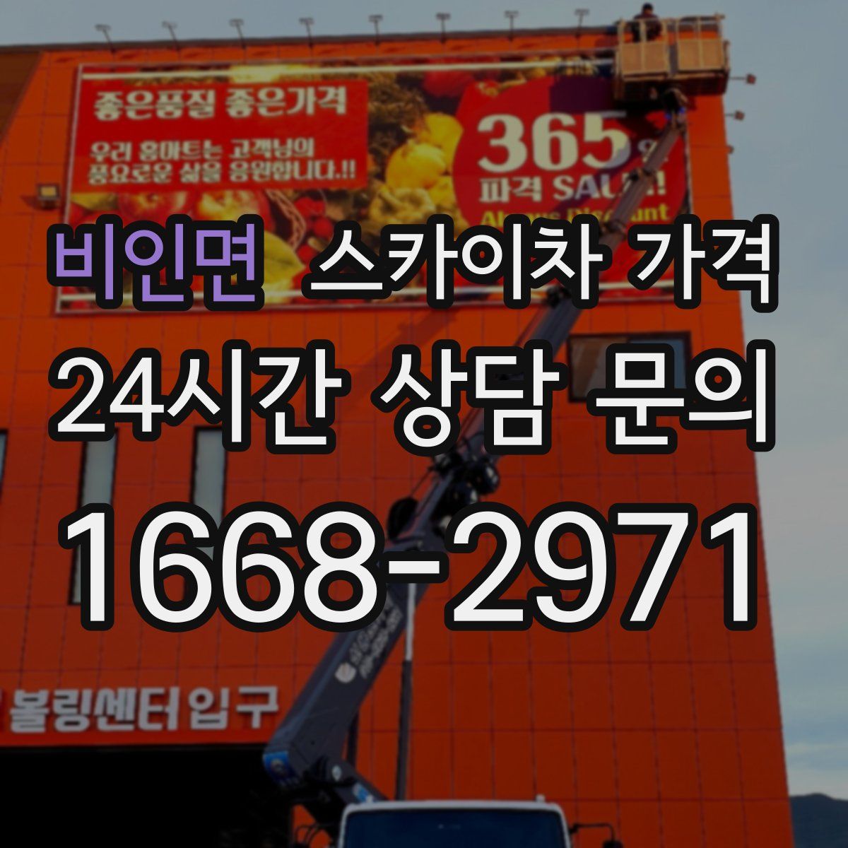 비인면 스카이차 가격