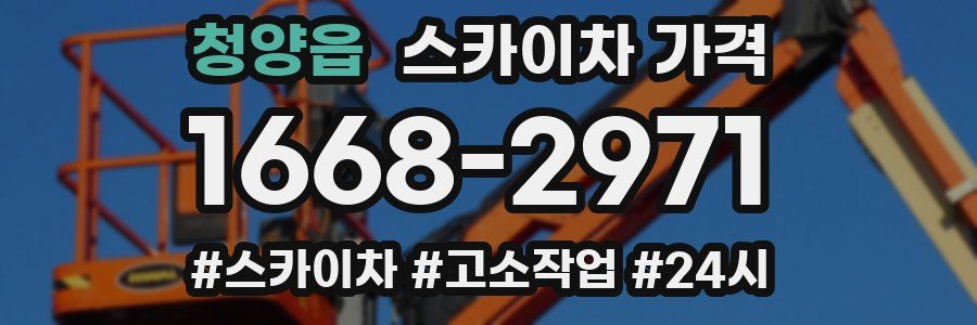 청양읍 스카이차 가격