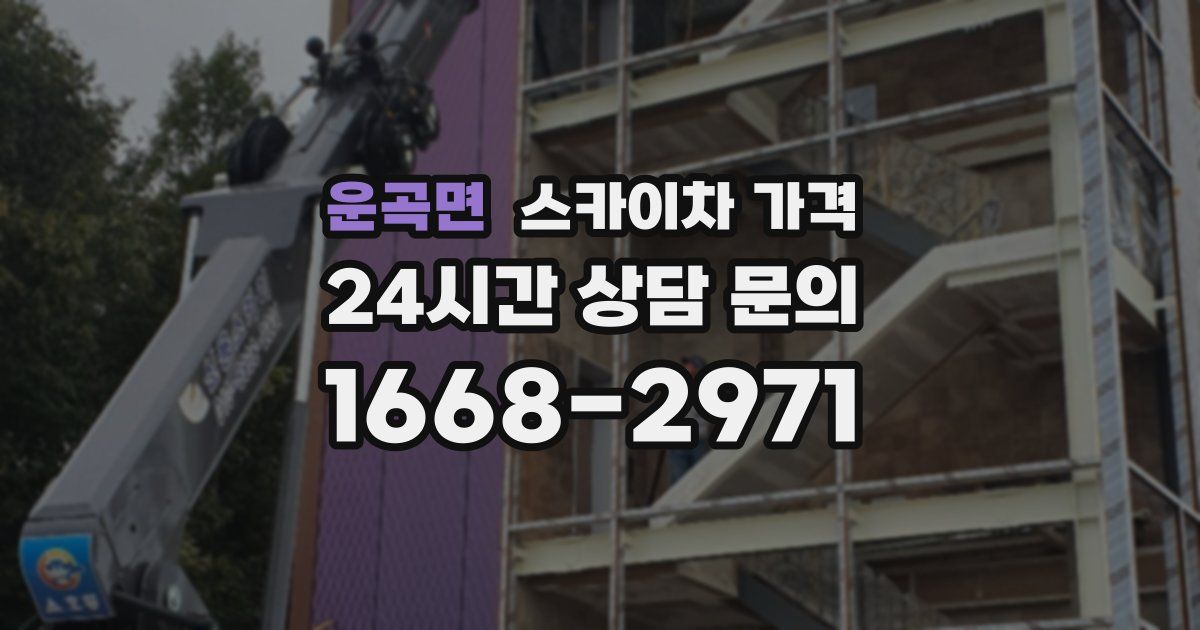 운곡면 스카이차 가격