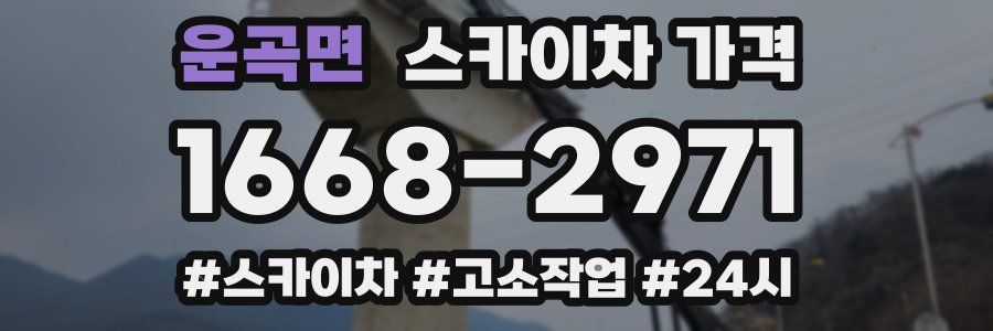 운곡면 스카이차 가격