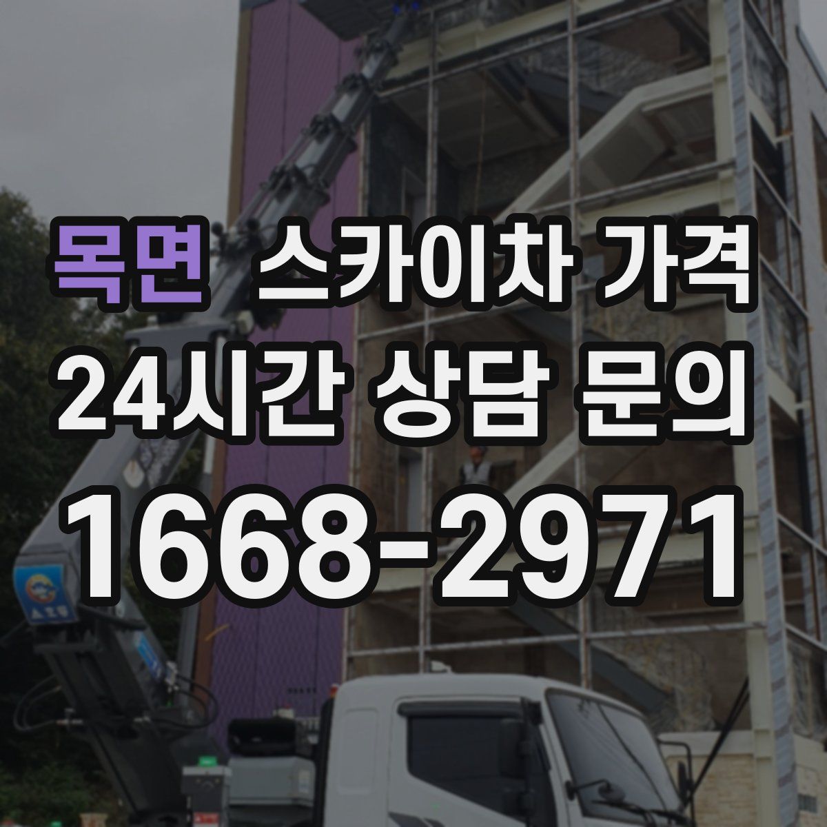 목면 스카이차 가격