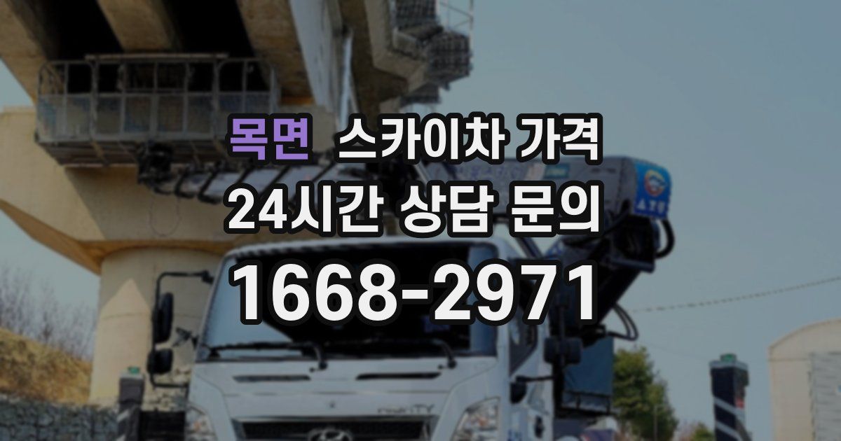 목면 스카이차 가격