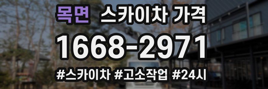 목면 스카이차 가격