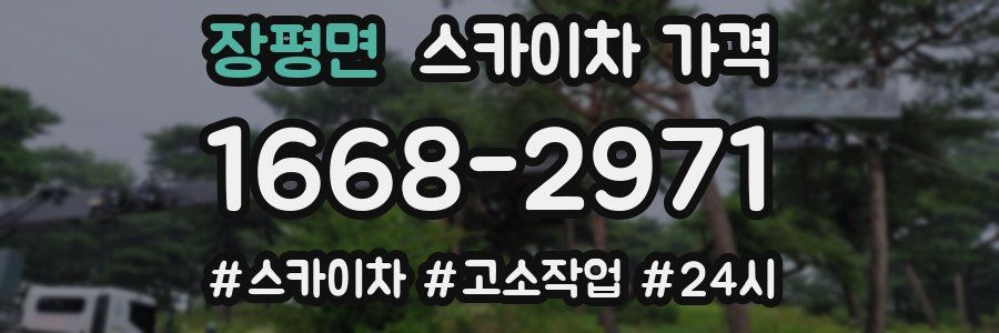 장평면 스카이차 가격