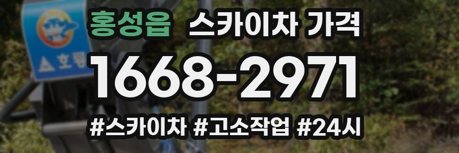 홍성읍 스카이차 가격