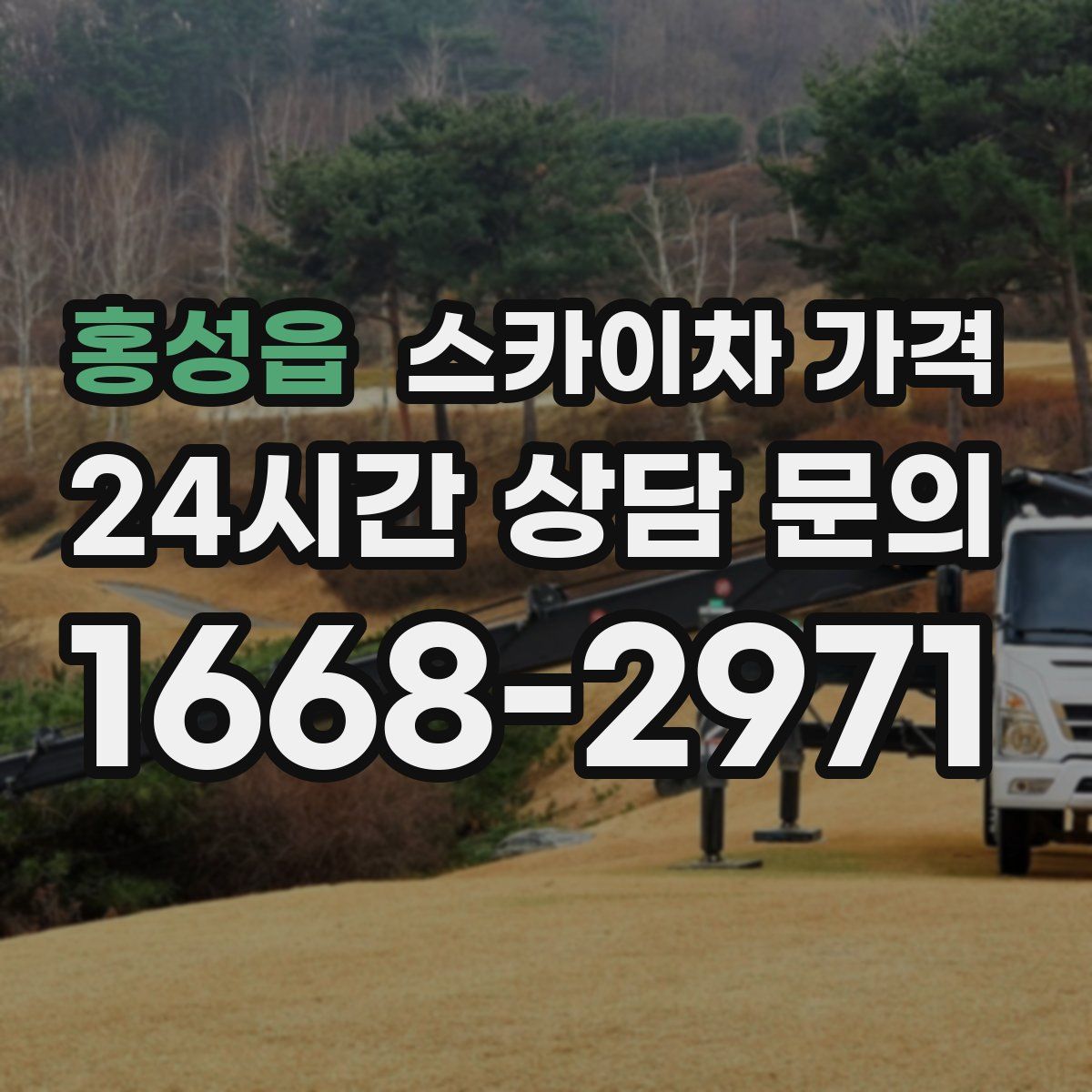 홍성읍 스카이차 가격