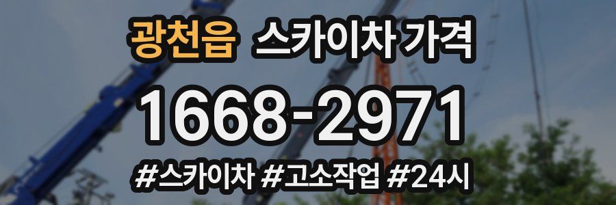 광천읍 스카이차 가격