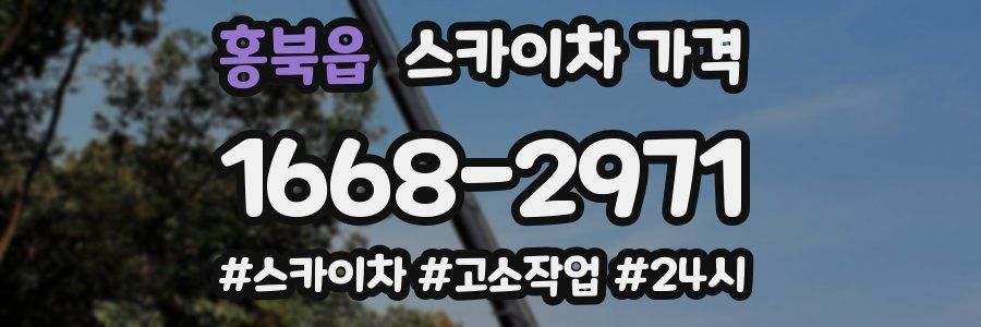 홍북읍 스카이차 가격