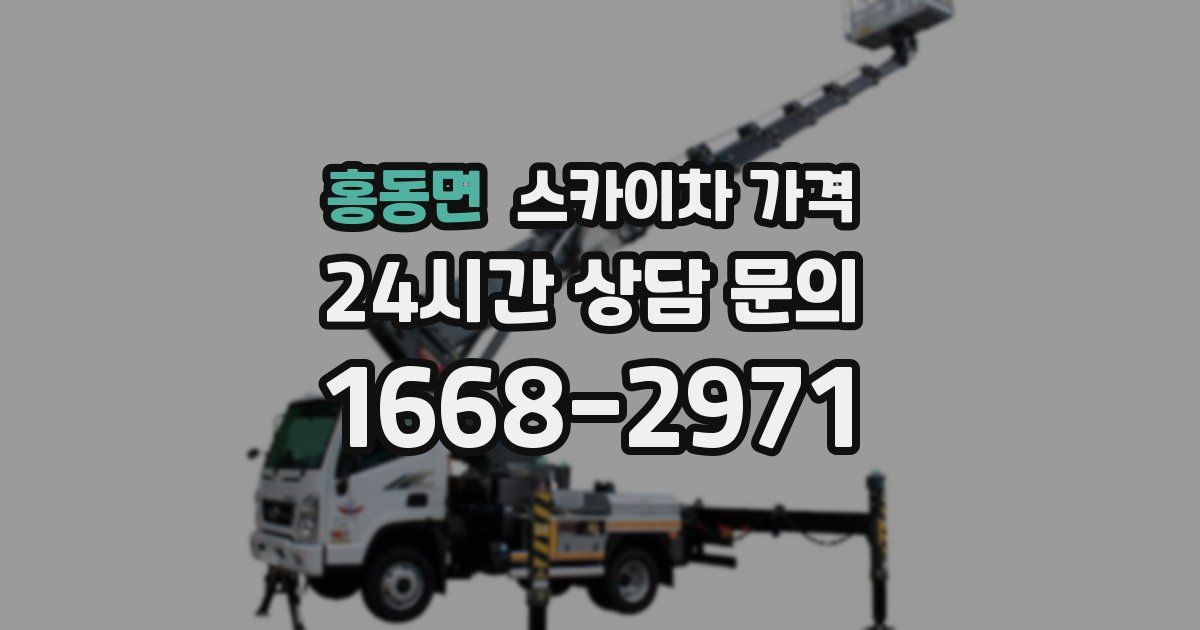 홍동면 스카이차 가격